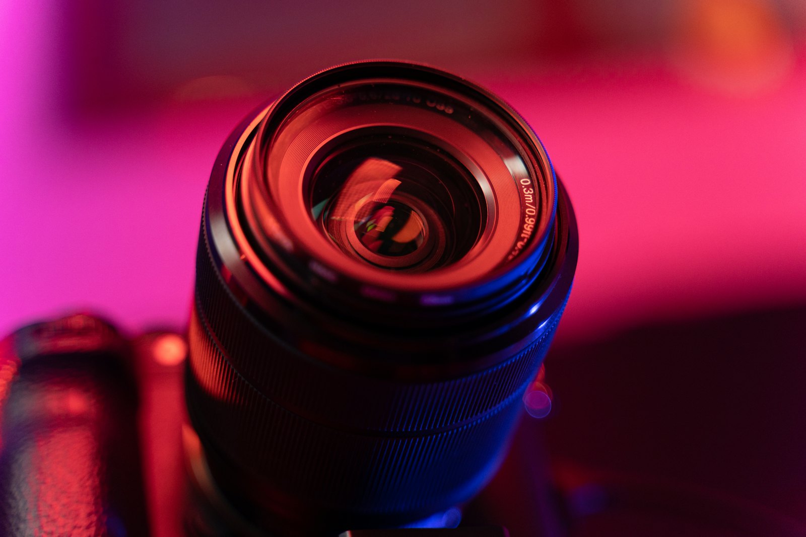 Wildwood Lens Photography gallery 2